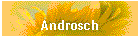 Androsch